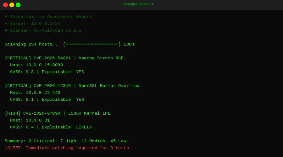 漏洞扫描评估报告终端界面 - 黑料社